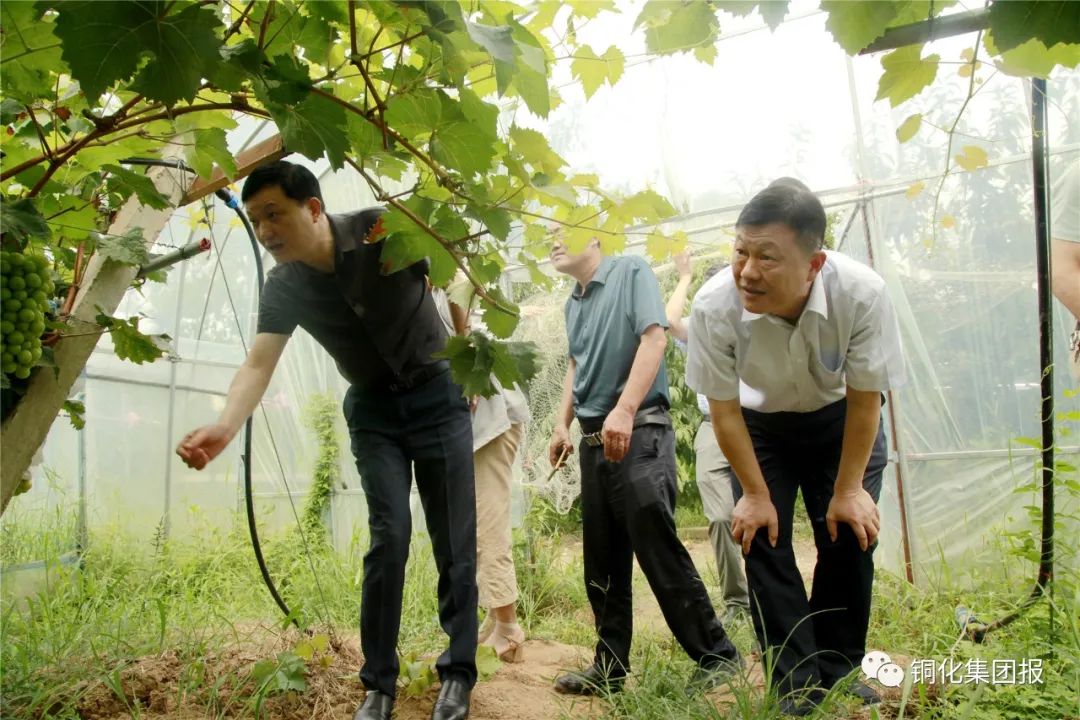 XPJ·娱乐(中国区)官方网站