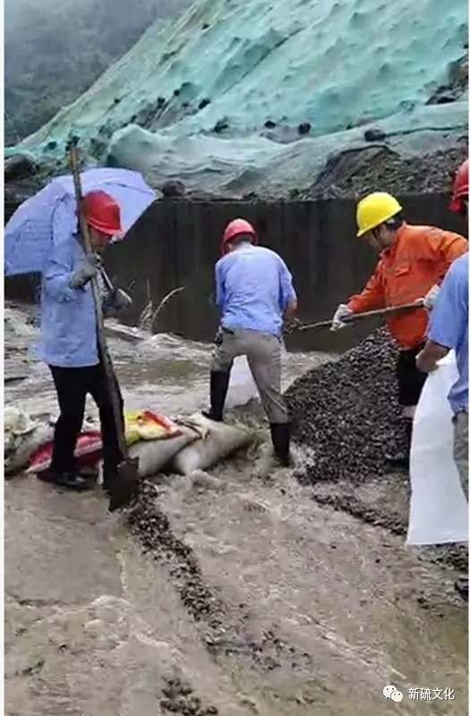 XPJ·娱乐(中国区)官方网站